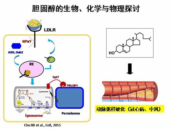 //wnsrmacau.com/Public/js/cn/kindeditor/attached/image/20160115/20160115022600_33365.jpg